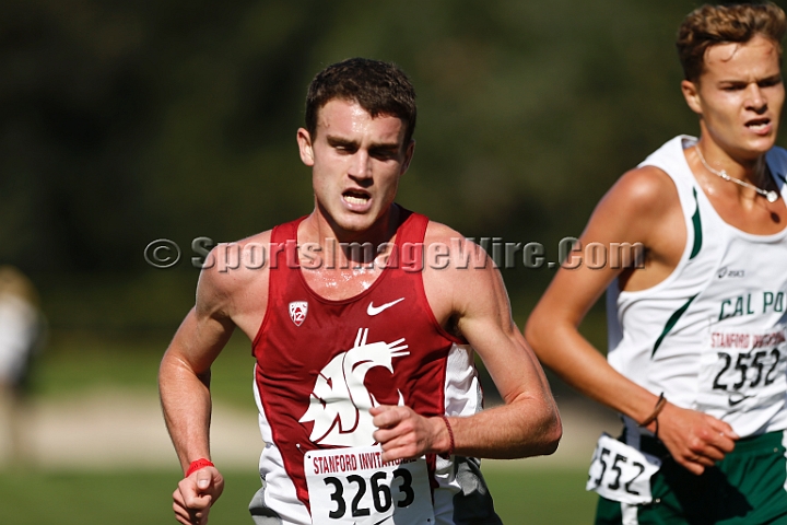 2014StanfordCollMen-185.JPG - College race at the 2014 Stanford Cross Country Invitational, September 27, Stanford Golf Course, Stanford, California.
